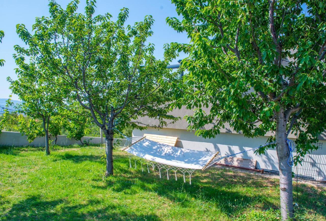 Villa Carpe Diem - With Private Pool Μόσταρ Εξωτερικό φωτογραφία